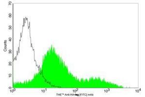 Flow cytometric analysis of transfected HEK-293 cell expressing HA-tagged protein using Anti-HA-tag [FITC] Monoclonal Antibody (ABIN387723, shaded histogram) or with a negative control antibody (open histogram) . (DYKDDDDK Tag Antikörper  (FITC))