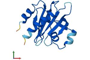 Protein Structure (PS) image for Profilin 3 (PFN3) (AA 1-137) protein (His tag) (ABIN7561216)