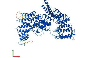 Protein Structure (PS) image for Tetratricopeptide Repeat Domain 30B (TTC30B) (AA 1-665) protein (His tag) (ABIN7544904)