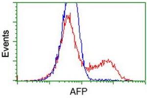 HEK293T cells transfected with either RC206622 overexpress plasmid (Red) or empty vector control plasmid (Blue) were immunostained by anti-AFP antibody (ABIN2452709), and then analyzed by flow cytometry. (alpha Fetoprotein Antikörper)