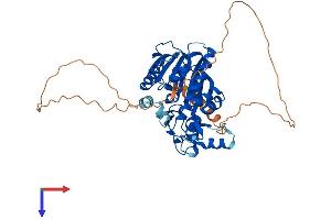 RNMT Protein (AA 1-476) (His tag)