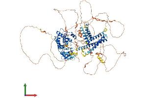 Protein Structure (PS) image for Unc-51 Like Kinase 1 (ULK1) (AA 1-1050) protein (His tag) (ABIN7555972)