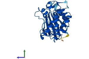 AlphaFold protein structure predicition of Human Recombinant TSSK6 Protein, UniprotID Q9BXA6