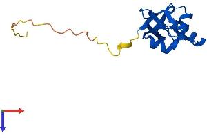 Sulfiredoxin 1 Protein (SRX1) (AA 1-136) (His tag)