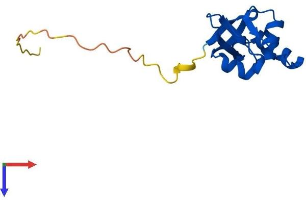 Sulfiredoxin 1 Protein (SRX1) (AA 1-136) (His tag)
