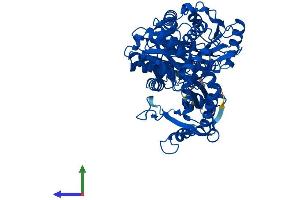 Protein Structure (PS) image for phosphoglucomutase 2-Like 1 (PGM2L1) (AA 1-622) protein (His tag) (ABIN7554909)