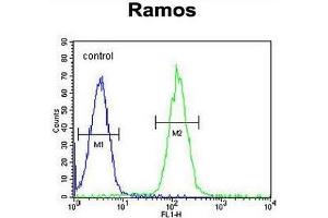 MGC24975 Antibody (C-term) flow cytometric analysis of Ramos cells (right histogram) compared to a negative control cell (left histogram). (PRR22 Antikörper  (C-Term))