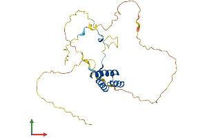 Protein Structure (PS) image for Homeobox D4 (HOXD4) (AA 1-255) protein (His tag) (ABIN7548457)