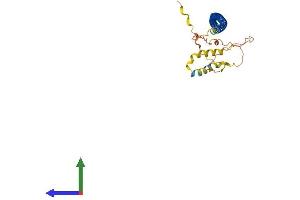 AlphaFold protein structure predicition of Mouse Recombinant Krt222 Protein, UniprotID Q8CCX5