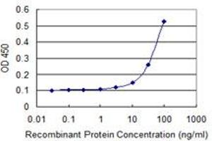 ELISA image for anti-Hemochromatosis Type 2 (Juvenile) (HFE2) (AA 93-173) antibody (ABIN530965)