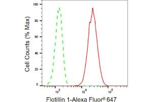 Flow cytometric analysis of Flotillin 1 expression in HepG2 cells using Flotillin 1 antibody (ABIN7798631), 1:2,000). (Rekombinanter Flotillin 1 Antikörper)