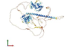 Protein Structure (PS) image for Toll-Like Receptor Adaptor Molecule 1 (TICAM1) (AA 1-712) protein (His tag) (ABIN7555705)