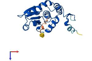 DUSP18 Protein (AA 1-188) (His tag)