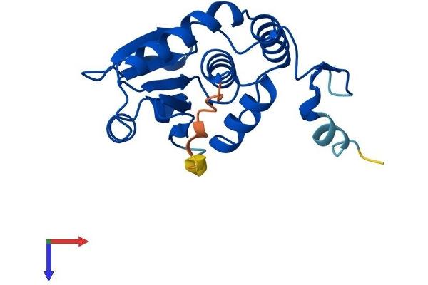 DUSP18 Protein (AA 1-188) (His tag)