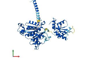 AlphaFold protein structure predicition of Human Recombinant MOCS3 Protein, UniprotID O95396