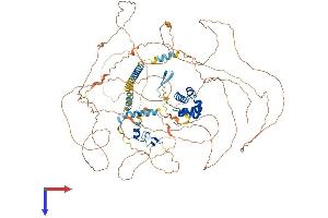 PHC3 Protein (AA 1-981) (His tag)