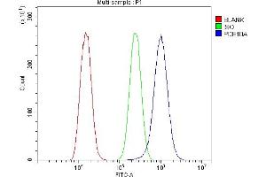 Flow Cytometry analysis of A549 cells using anti-PDE10A antibody (ABIN7601943). (PDE10A Antikörper  (AA 515-779))