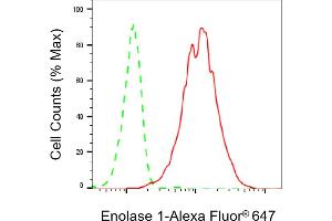 Flow cytometric analysis of Enolase 1 expression in HepG2 cells using Enolase 1 antibody (ABIN7798448), 1:2,000). (Rekombinanter ENO1 Antikörper)