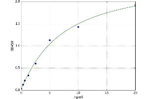 A typical standard curve
