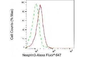 Flow cytometric analysis of Nesprin3 expression in HAP-1 cells using Nesprin3 antibody (ABIN7798074), 1:2,000).