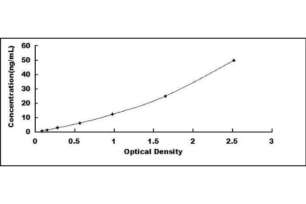 UCHL1 ELISA Kit