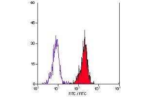 Staining of human peripheral blood monocytes with Mouse anti Human CD55 (ABIN118737). (CD55 Antikörper)
