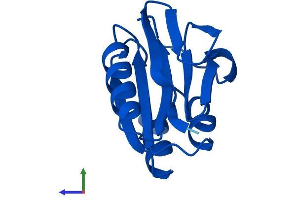 AAMDC Protein (AA 1-122) (His tag)