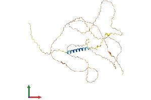 Protein Structure (PS) image for Lymphocyte Transmembrane Adaptor 1 (LAX1) (AA 1-407) protein (His tag) (ABIN7558623)