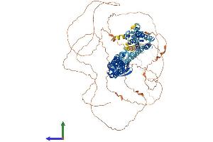 Protein Structure (PS) image for Potassium Voltage-Gated Channel, Shab-Related Subfamily, Member 2 (KCNB2) (AA 1-907) protein (His tag) (ABIN7562011)