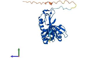 Protein Structure (PS) image for Pyridoxamine 5'-Phosphate Oxidase (PNPO) (AA 1-261) protein (His tag) (ABIN7550836)