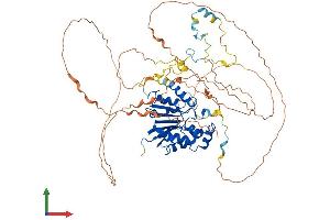 AlphaFold protein structure predicition of Human Recombinant MEPCE Protein, UniprotID Q7L2J0