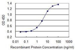 Detection limit for recombinant GST tagged MYOZ1 is 0. (Myozenin 1 Antikörper  (AA 200-298))