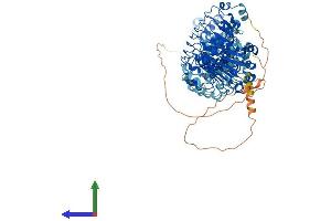 Protein Structure (PS) image for Leucine Rich Repeat Containing 8 Family, Member D (LRRC8D) (AA 1-858) protein (His tag) (ABIN7554466)