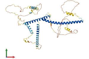 Protein Structure (PS) image for Transcription Factor EB (TFEB) (AA 1-475) protein (His tag) (ABIN7565198)