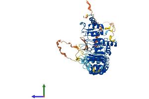 Protein Structure (PS) image for F-Box and Leucine-Rich Repeat Protein 6 (FBXL6) (AA 1-539) protein (His tag) (ABIN7547604)