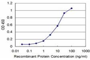 Detection limit for recombinant GST tagged PHF1 is approximately 1ng/ml as a capture antibody. (PHF1 Antikörper  (AA 2-100))