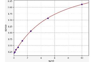 COL7A1 ELISA Kit