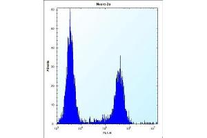 Flow Cytometry (FACS) image for anti-CF153 antibody (ABIN2995840) (CF153 Antikörper)