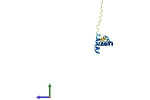 AlphaFold protein structure predicition of Human Recombinant HERVK_113 Protein, UniprotID P61574 (HERVK_113 (AA 1-105) protein (His tag))