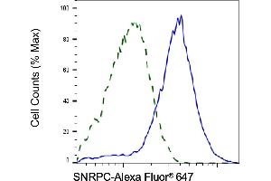 Validation of SNRPC knockdown using flow cytometry. (Rekombinanter SNRPC Antikörper)