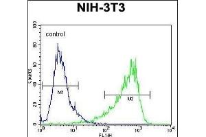 HIF1Alpha Antibody (Center) (ABIN652389 and ABIN2841889) flow cytometric analysis of NIH-3T3 cells (right histogram) compared to a negative control cell (left histogram). (HIF1A Antikörper  (AA 519-547))