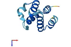 PYDC1 Protein (AA 1-89) (His tag)