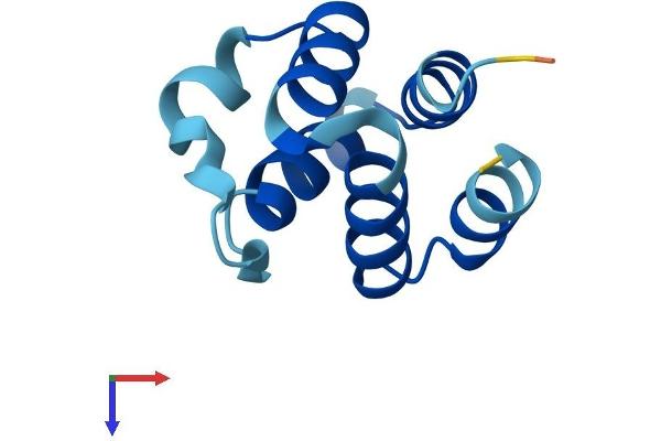 PYDC1 Protein (AA 1-89) (His tag)