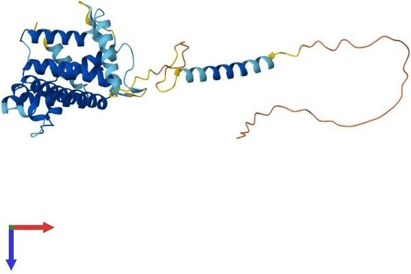 TMEM115 Protein (AA 1-350) (His tag)
