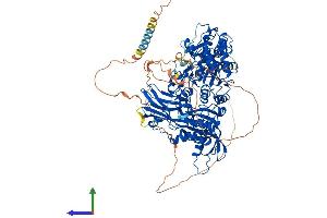 Protein Structure (PS) image for Xylosyltransferase I (XYLT1) (AA 1-959) protein (His tag) (ABIN7556026)