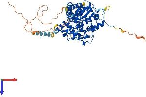 GAL3ST4 Protein (AA 1-486) (His tag)