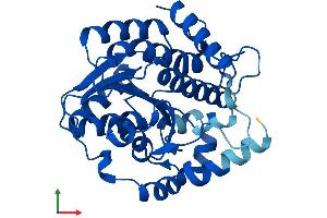 Protein Structure (PS) image for Dehydrogenase/reductase (SDR Family) Member 12 (DHRS12) (AA 1-317) protein (His tag) (ABIN7547114)