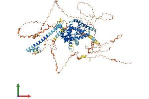 Protein Structure (PS) image for TBC1 Domain Family, Member 30 (TBC1D30) (AA 1-924) protein (His tag) (ABIN7555709)