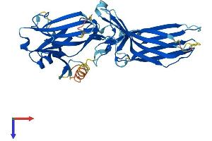 ARR3 Protein (AA 1-388) (His tag)