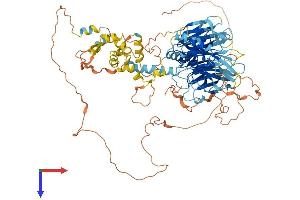 TAF1C Protein (AA 1-836) (His tag)